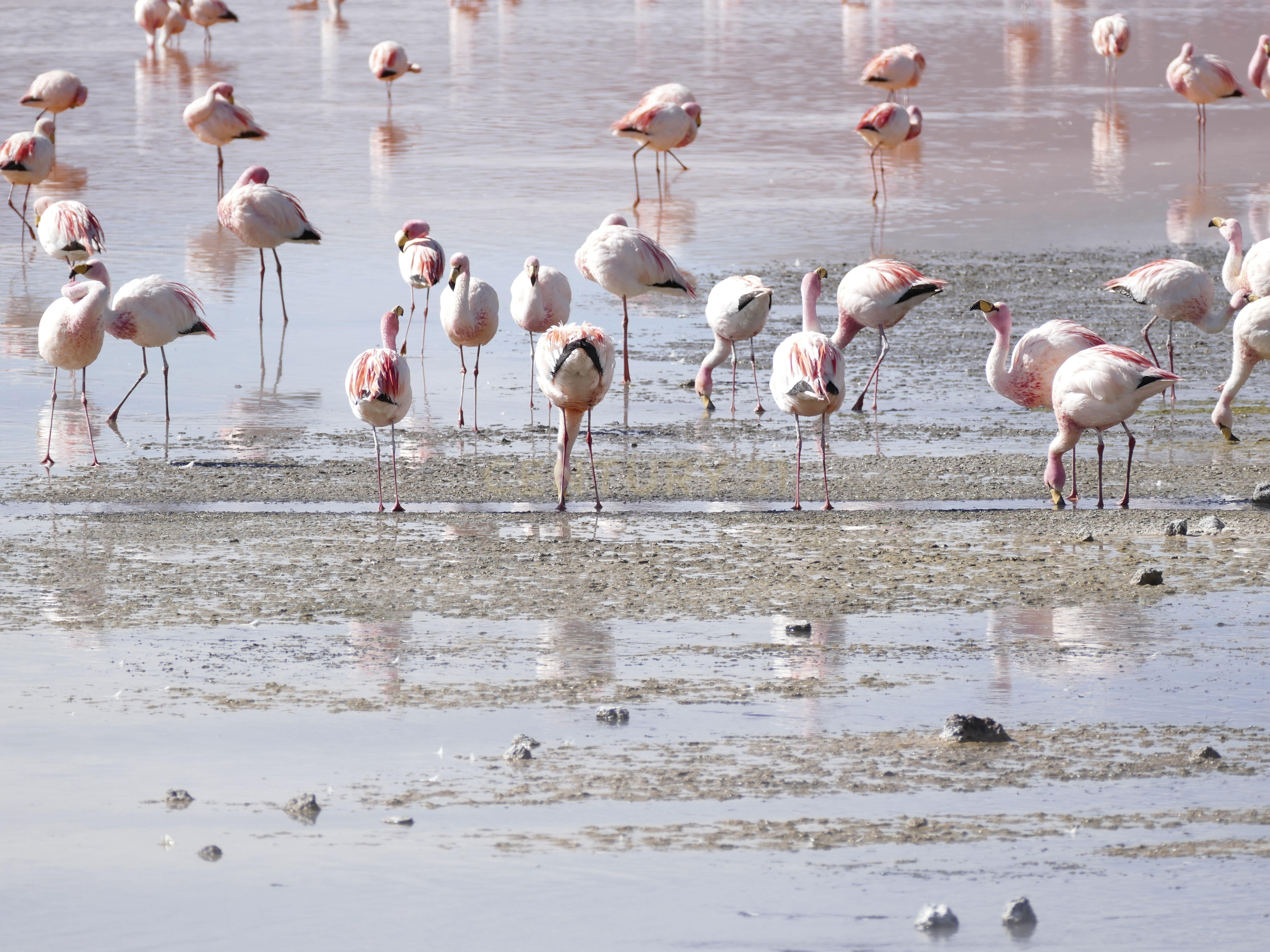 Fotografia 5 de ECO RESORT – A Place That Remembers. A Place That Returns.