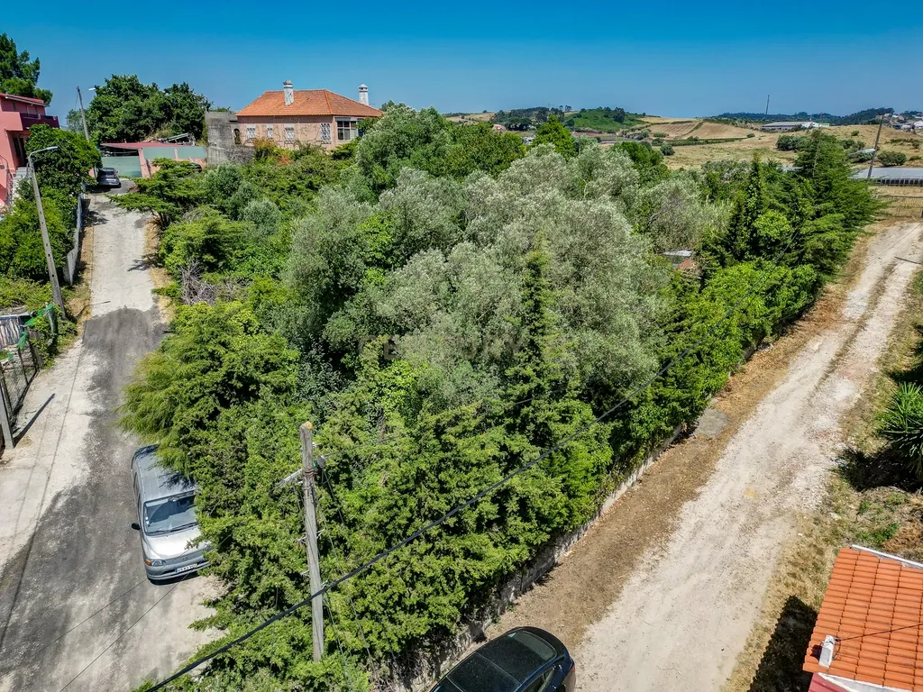 Terreno à Venda em Vale de Almornos – 1.000 m² de Natureza, Potencial e Tranquilidade! - Image 20