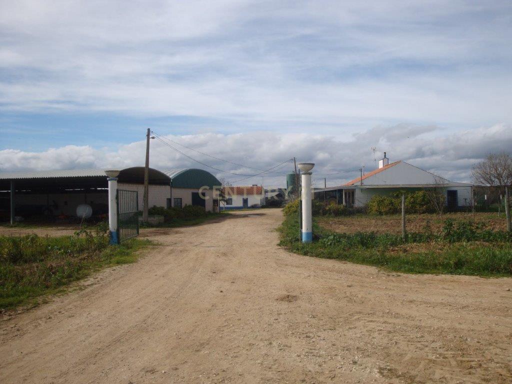 A HERDADE 145 hectares a 20min de Vila Viçosa (vila candidata a património MUNDIAL da UNESCO), Alentejo - Image 6