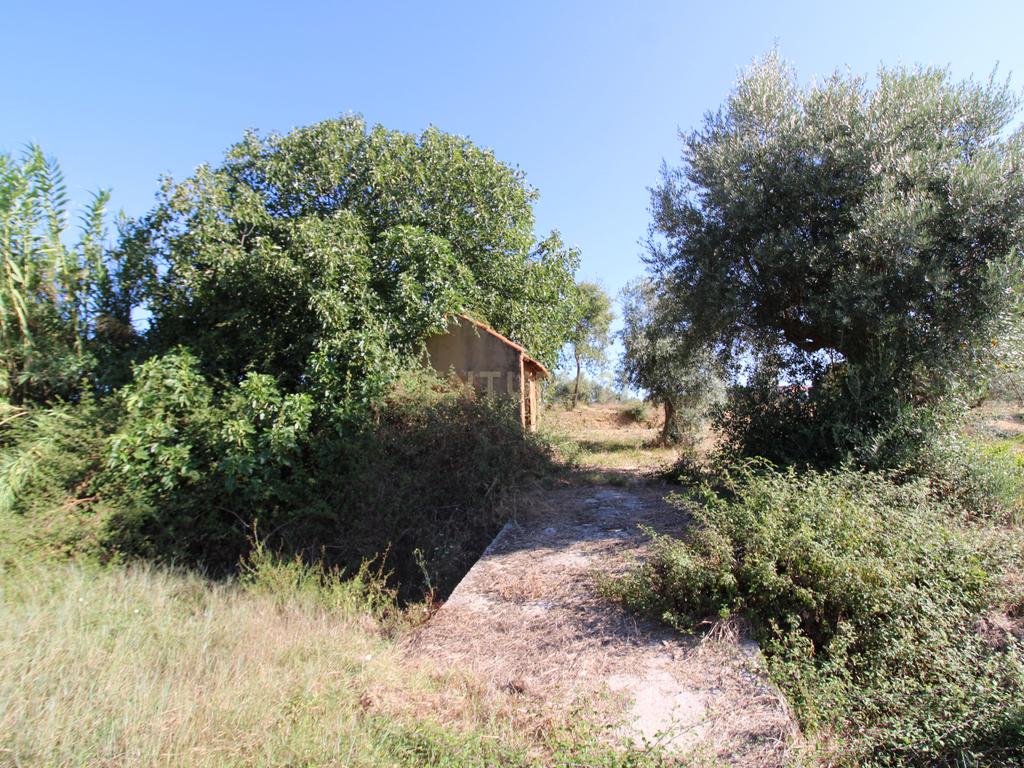 2 Terrenos Rústicos c/poço de água próximo da Cidade de Tomar - Image 10