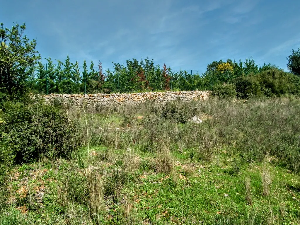 Terreno Rústico em Faro com Vista Panorâmica e Acesso Fácil - Image 17