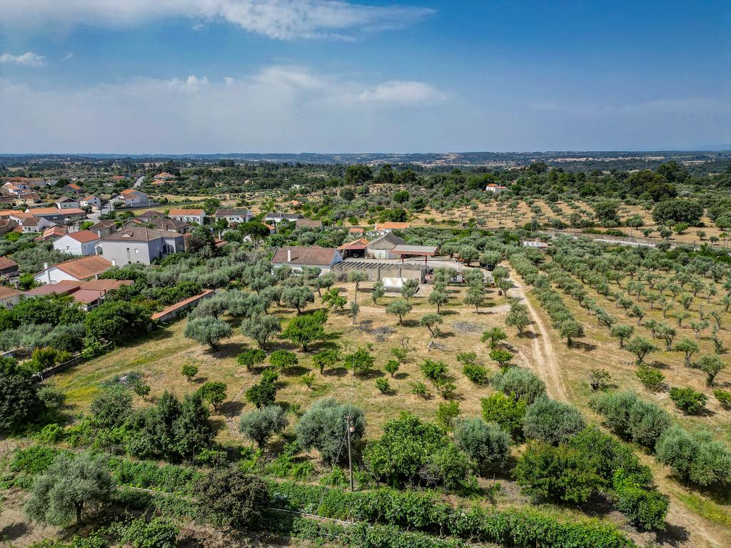 OPORTUNIDADE 360º – Moradia T3 + Posto de Combustível GALP + Terrenos (36 000 m²) - Image 41