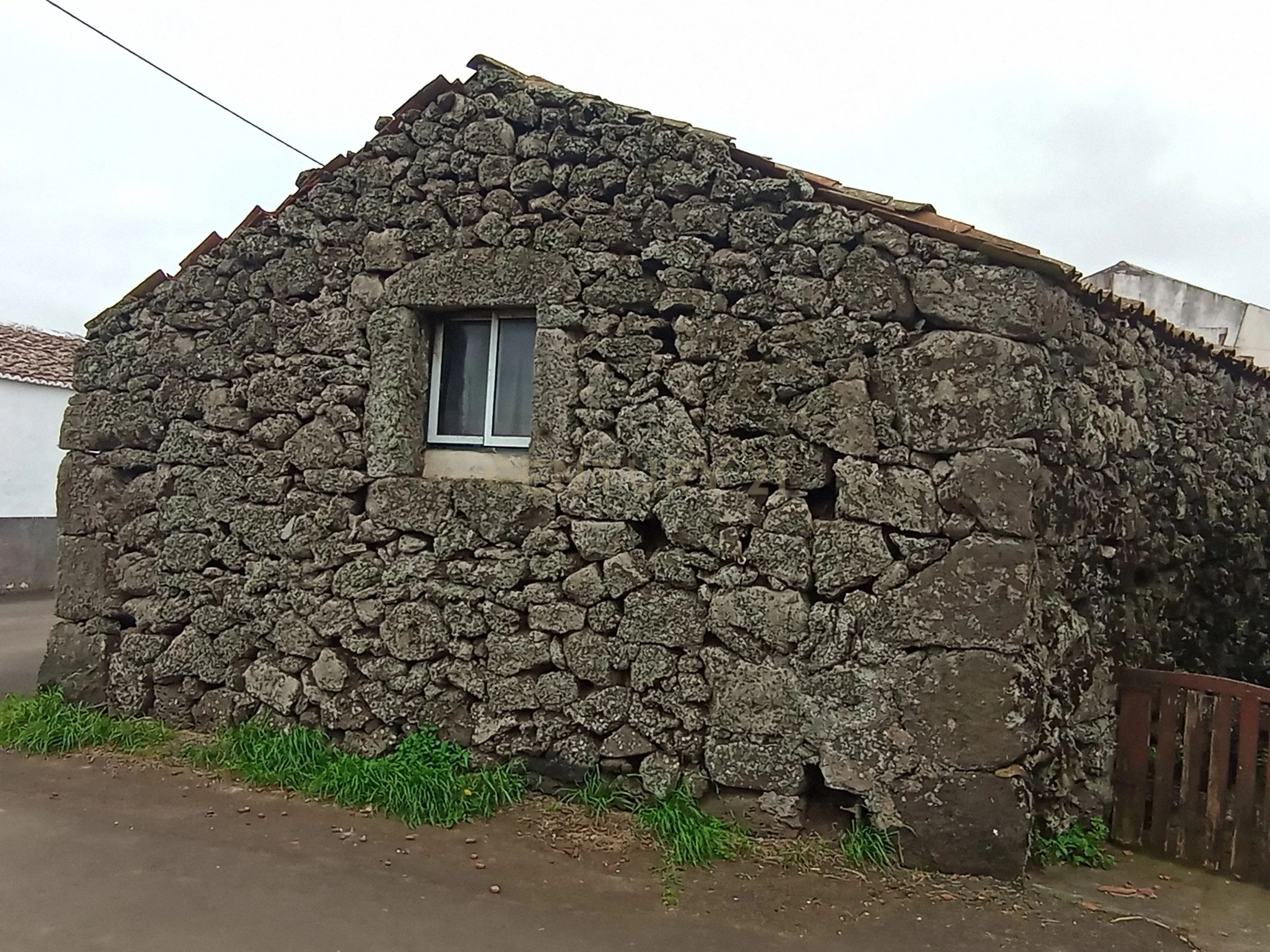 Fotografia 5 de Encantador T0 em Santa Cruz da Graciosa com Adega