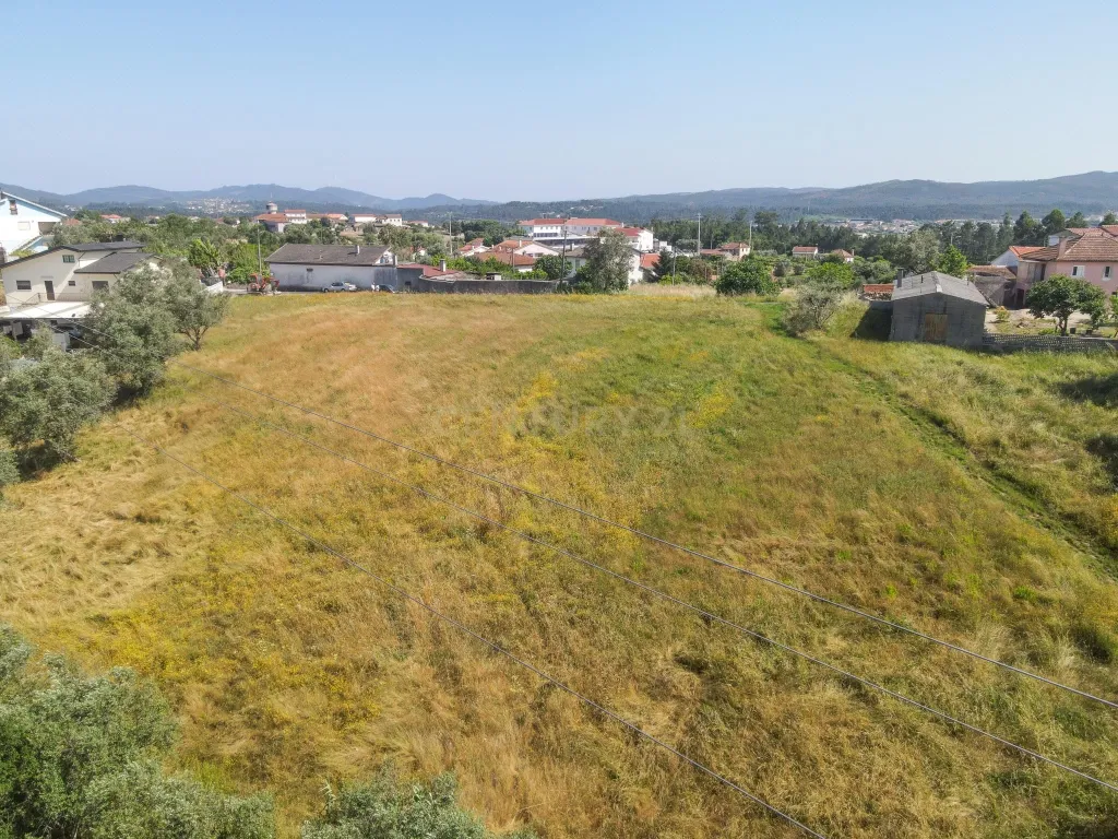 Terreno - Vila Nova de Poiares - Image 3