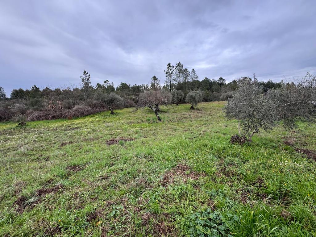 Terreno em Meimoa, Penamacor - Image 3