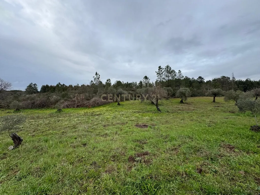 Terreno em Meimoa, Penamacor - Image 8