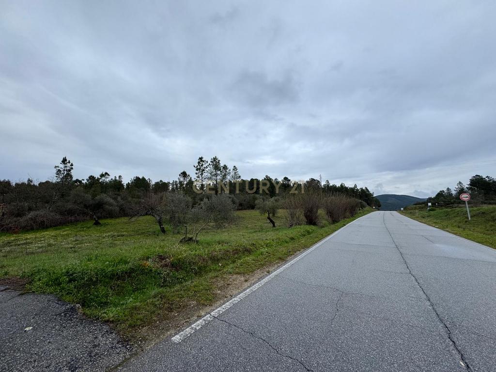 Terreno em Meimoa, Penamacor - Image 7