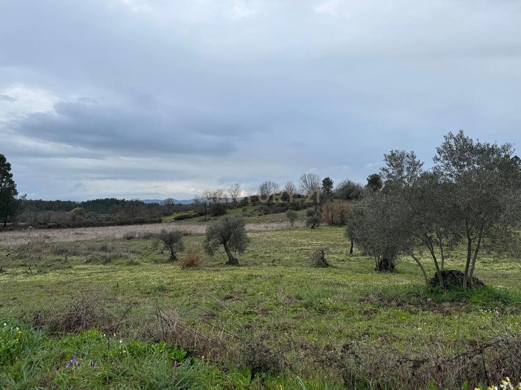 Terreno em Meimoa, Penamacor - Image 1