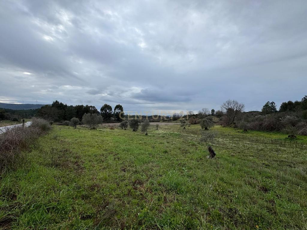 Terreno em Meimoa, Penamacor - Image 4