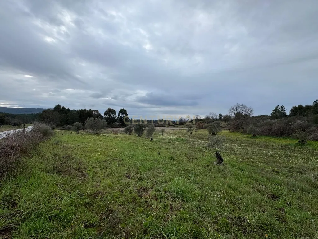 Terreno em Meimoa, Penamacor - Image 4