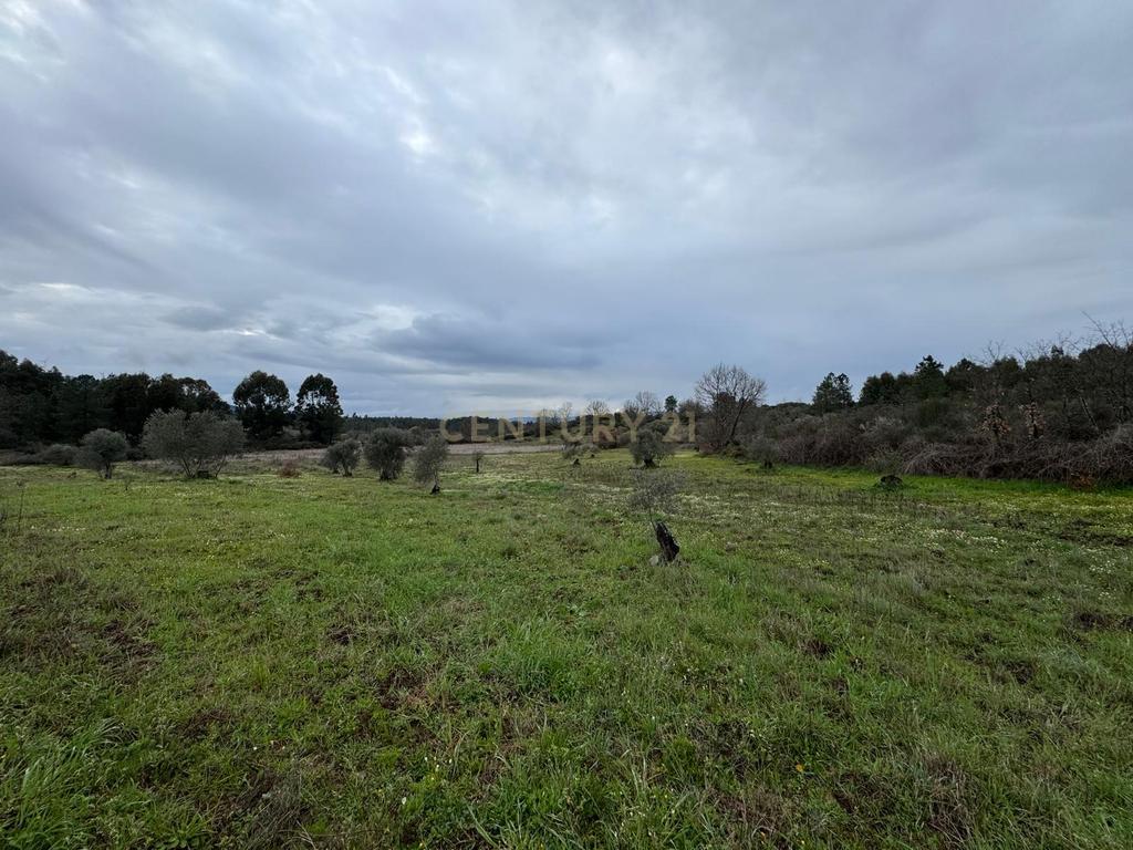 Terreno em Meimoa, Penamacor - Image 2