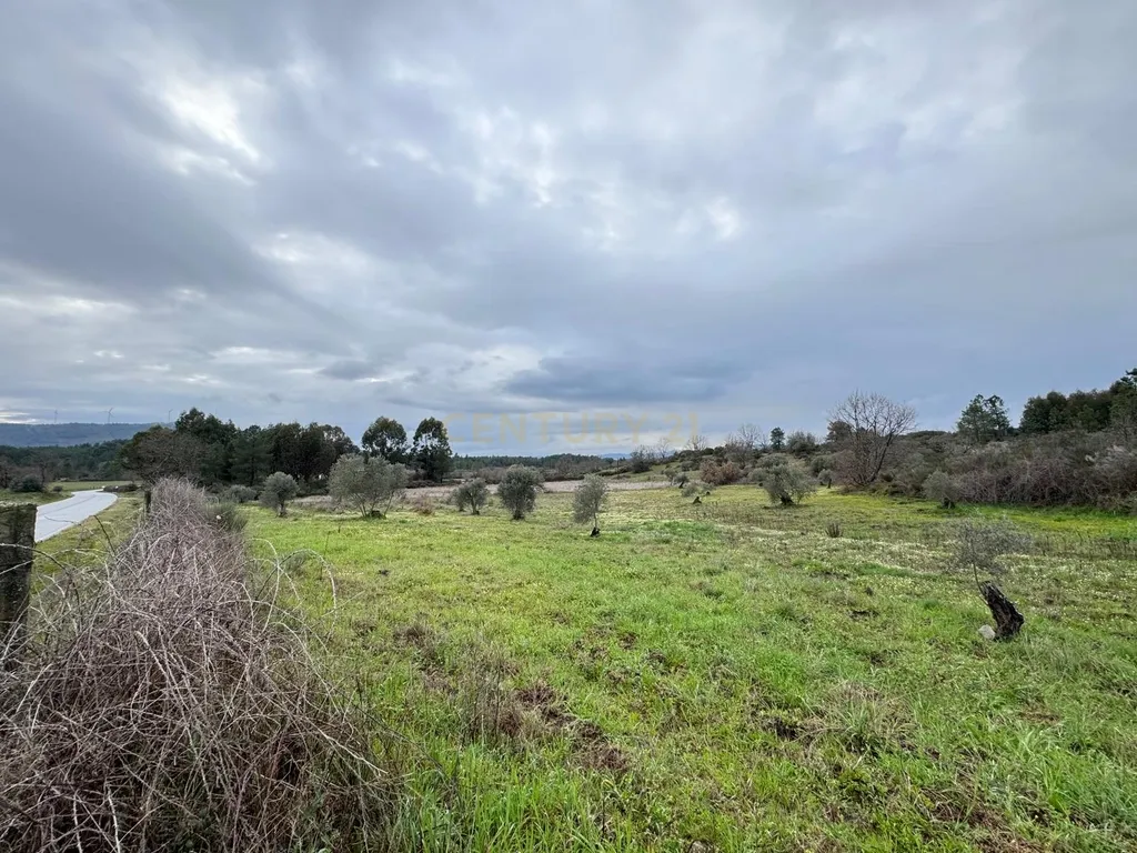 Terreno em Meimoa, Penamacor - Image 6