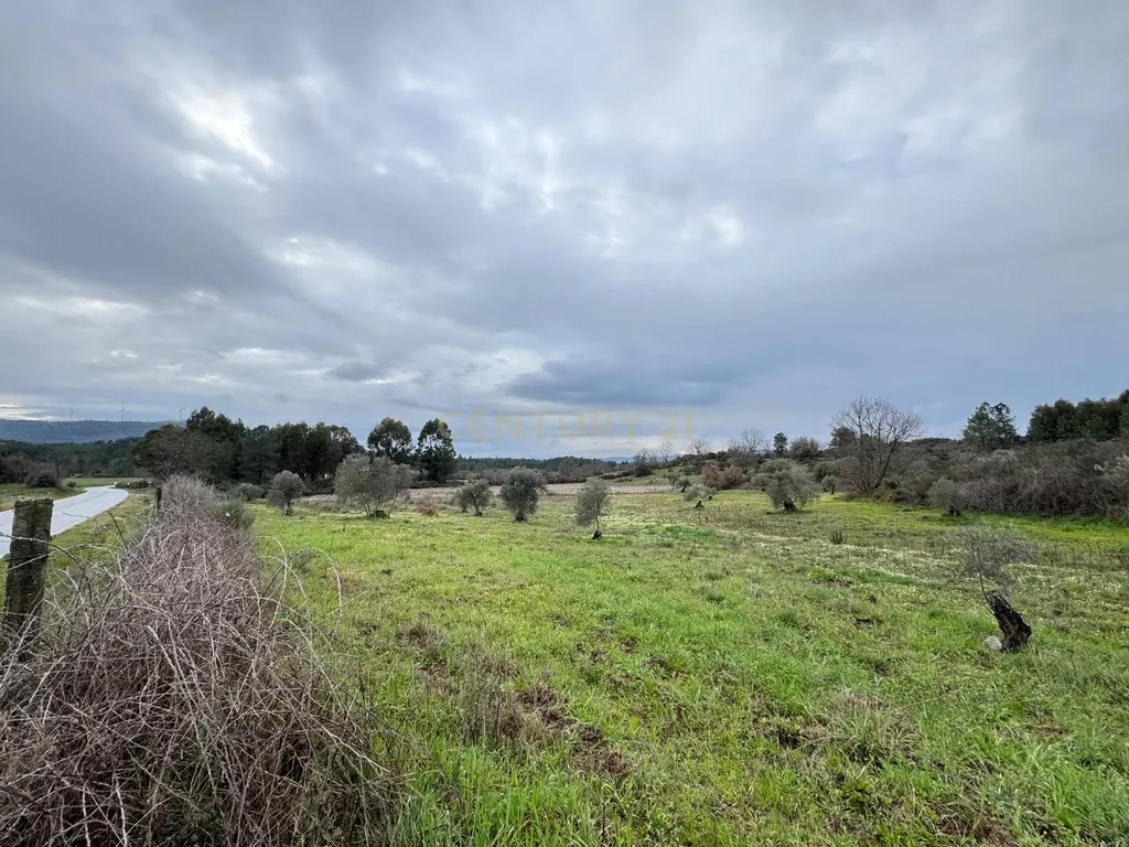 Terreno em Meimoa, Penamacor - Image 10