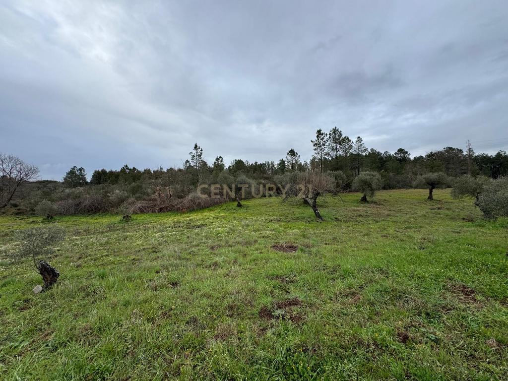 Terreno em Meimoa, Penamacor - Image 5