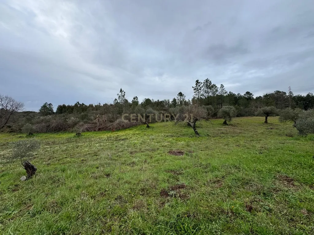 Terreno em Meimoa, Penamacor - Image 5