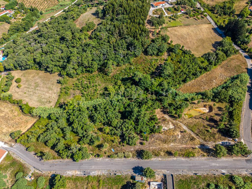 Terreno com riacho, árvores de fruto e PIP aprovado — Carapiteira de Baixo - Image 12