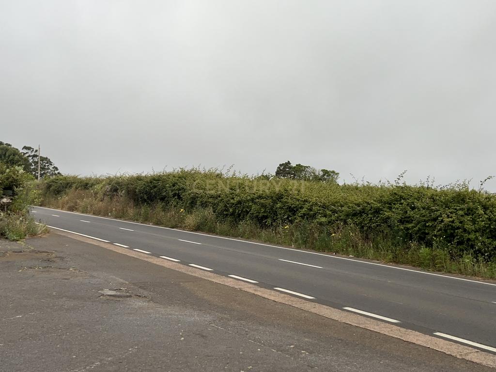  - Image 17