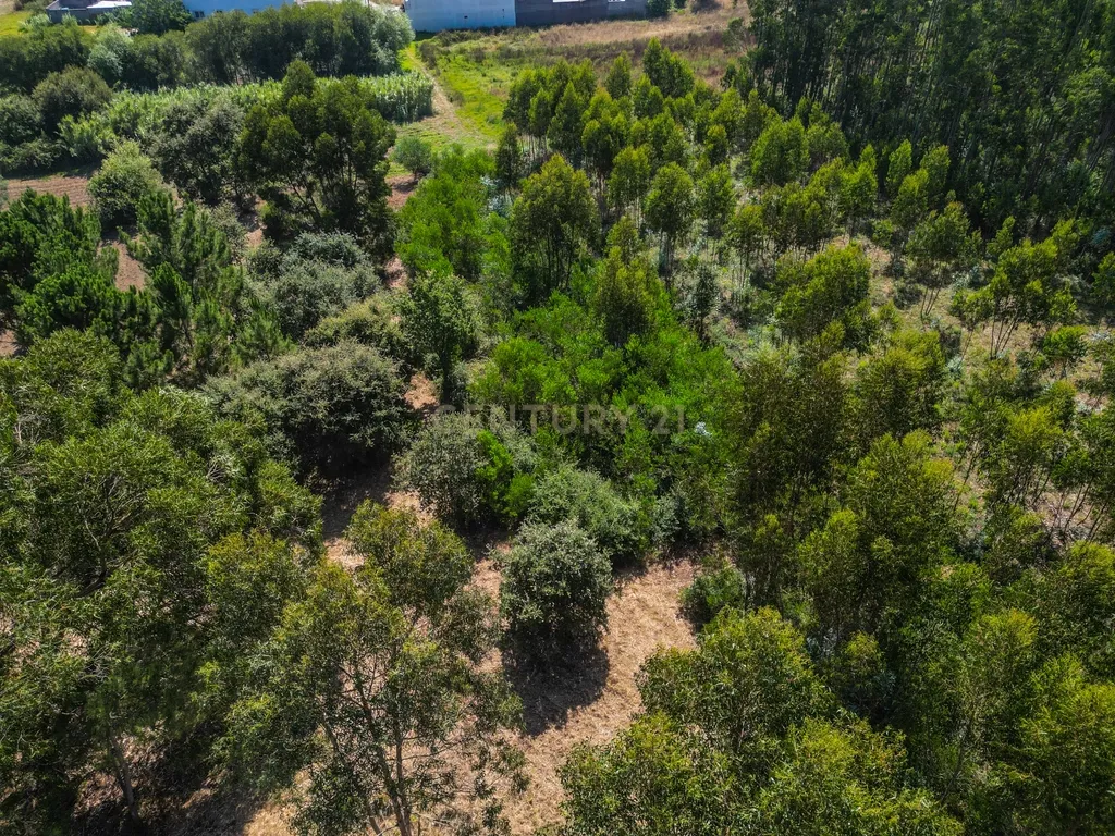 Terreno para investimento em Lavos, Figueira da Foz apenas a 5km da praia - Image 18