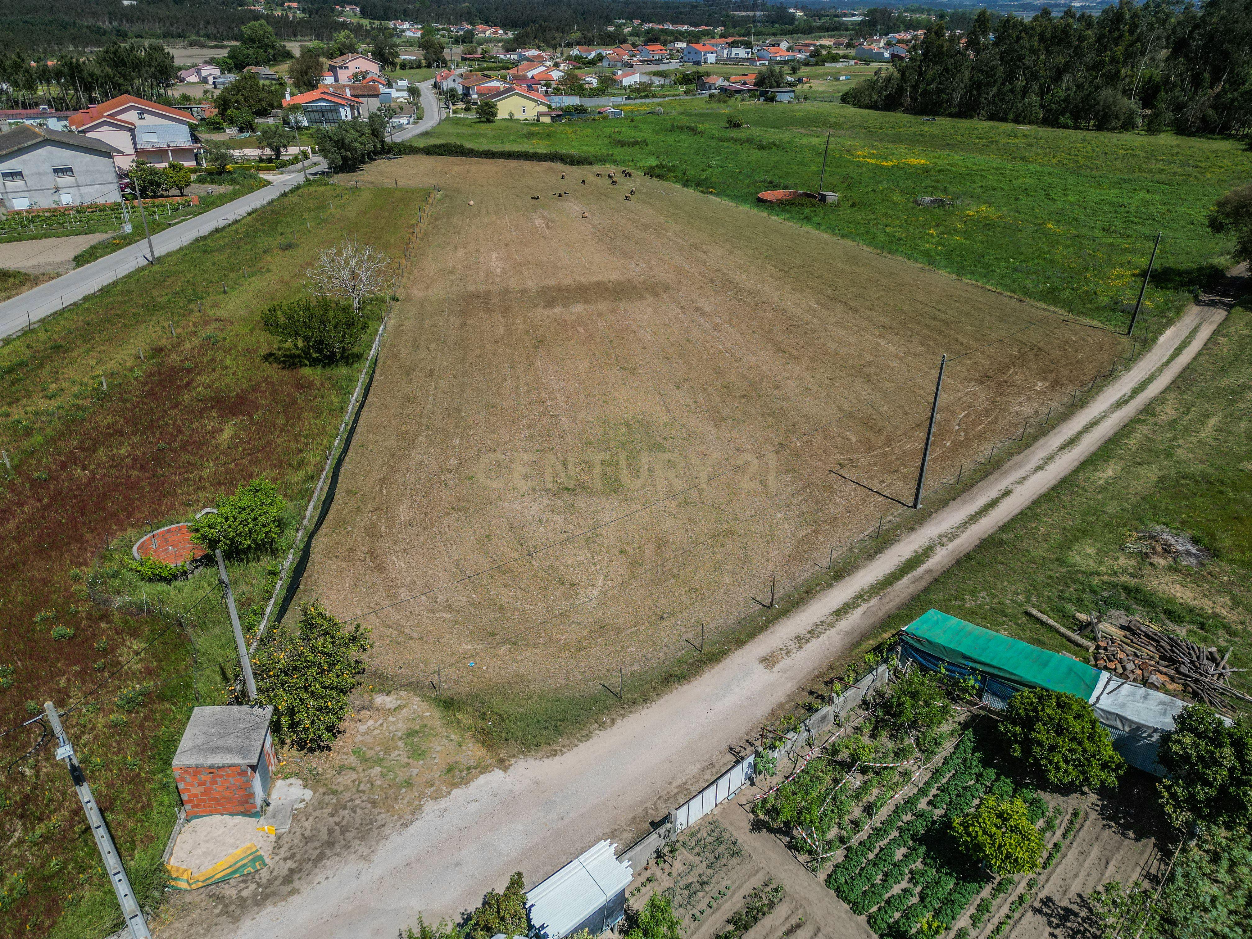 Fotografia 9 de Terreno com viabilidade de construção nas Alhadas, Figueira da Foz