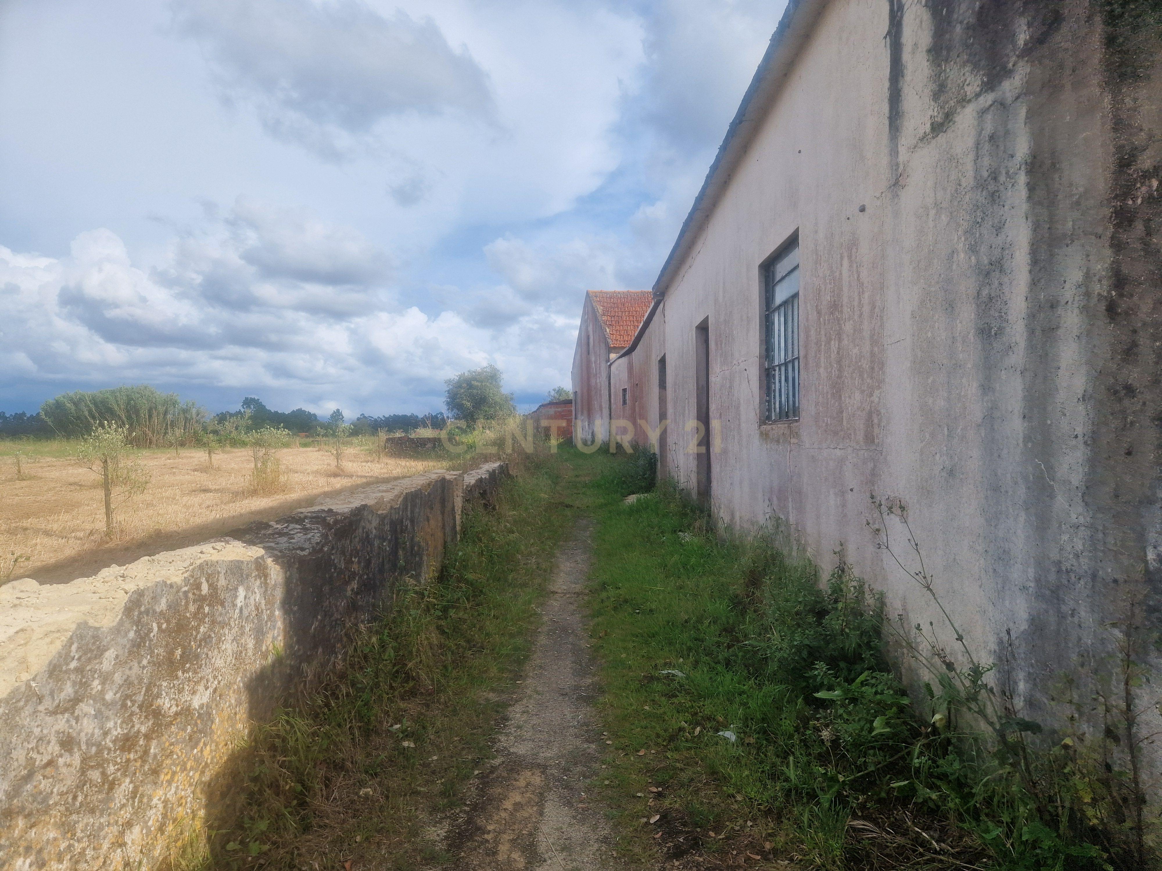 Fotografia 3 de Terreno Urbano em Vagos - 3590m²