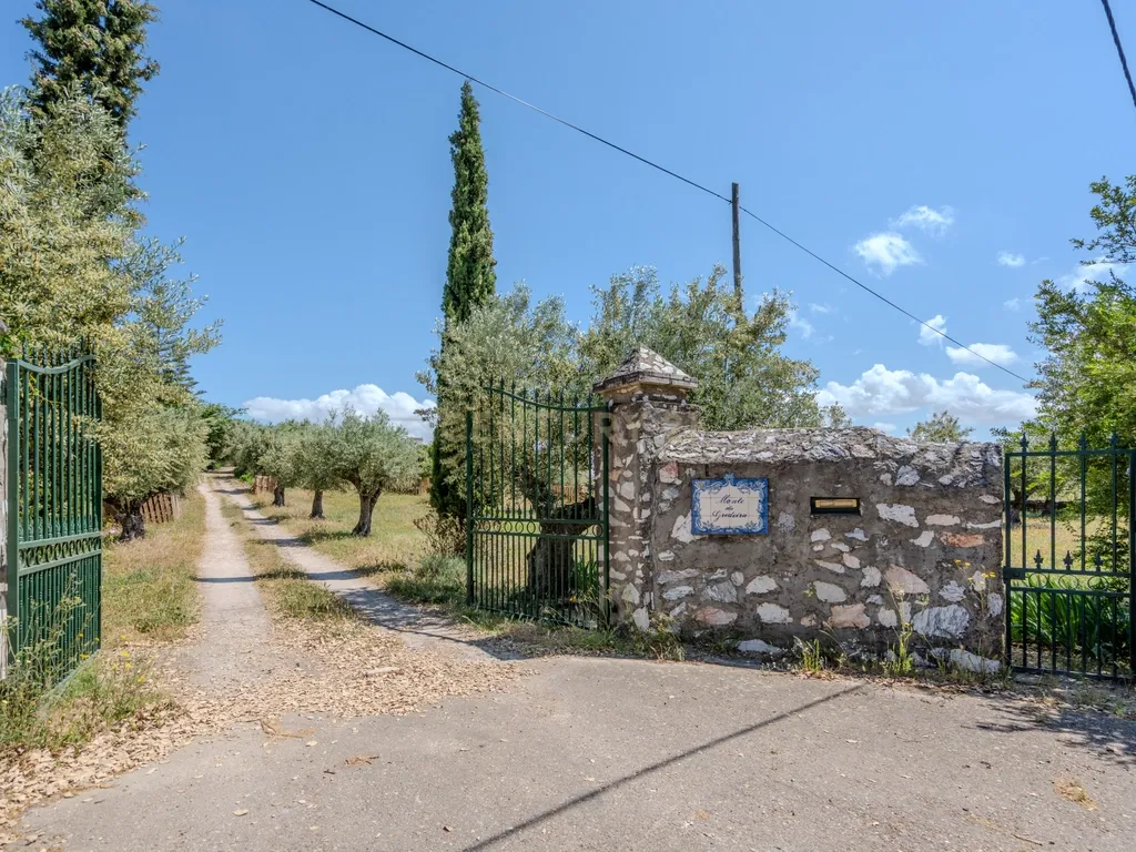 Quinta T3+3 com 4 HA em Borba – Natureza, Produção Agrícola e Conforto - Image 3
