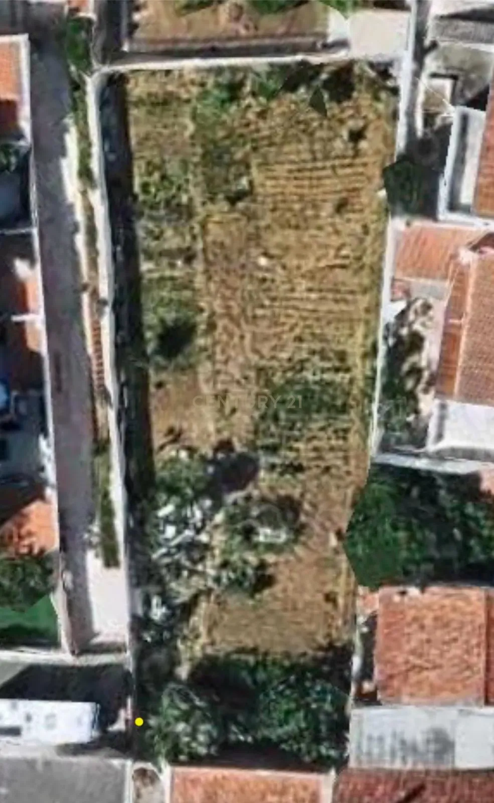 Terreno com Projeto para duas moradias - Cascais - Image 3