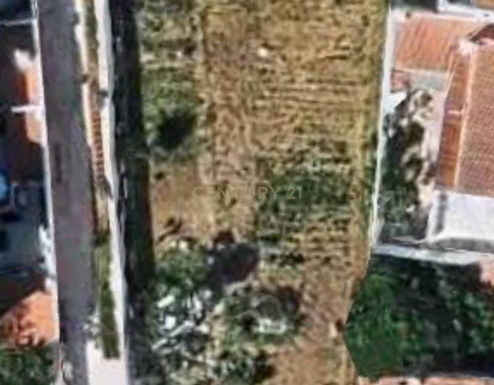 Terreno com Projeto para duas moradias  - Cascais - Image 3
