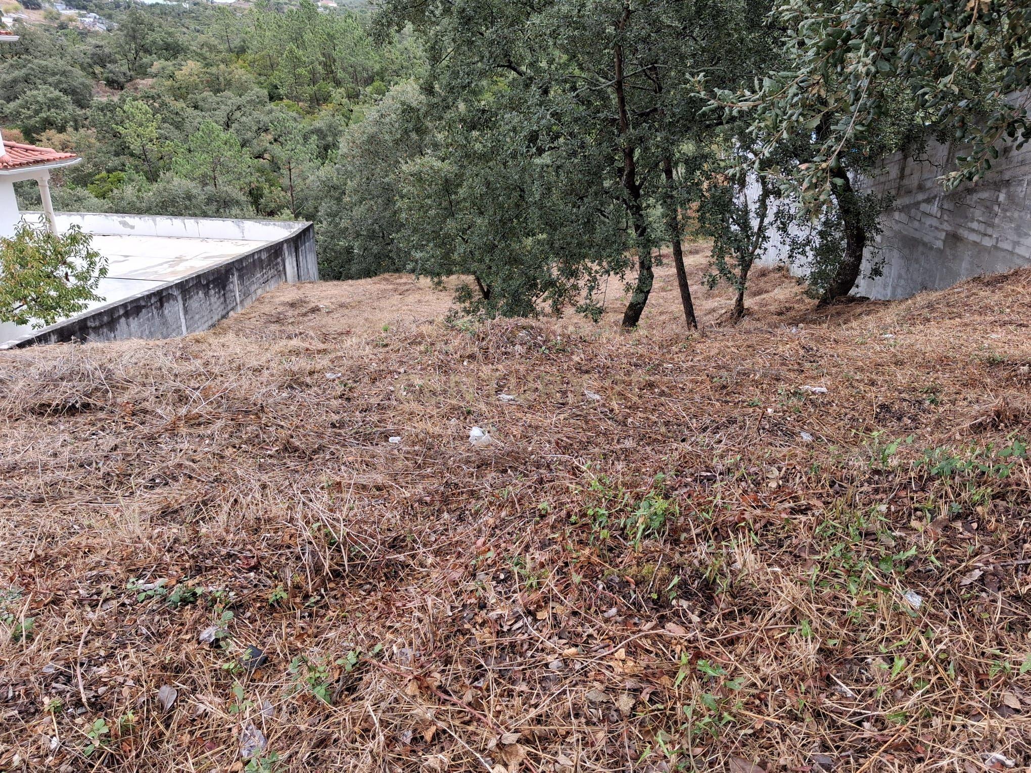 Fotografia 4 de Lote em Zona Nobre de Pombal