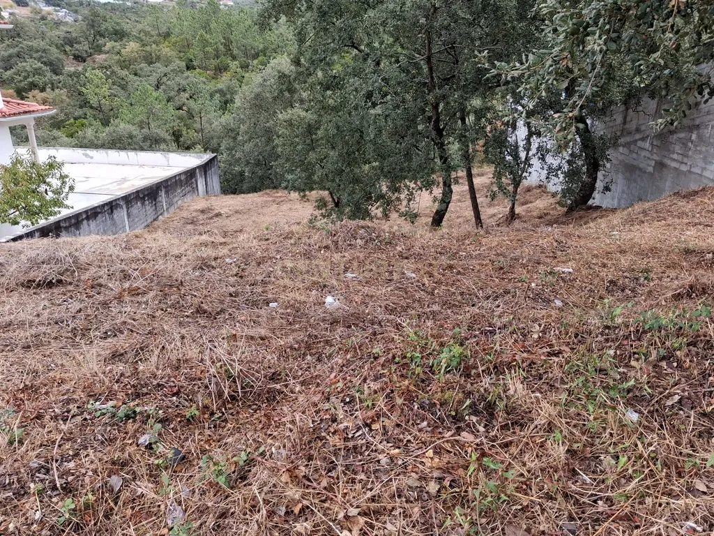Lote em Zona Nobre de Pombal - Image 4
