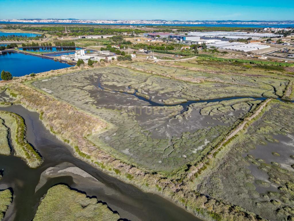 Terreno 20,18ha, Montijo - Seixalinho, para actividades de piscicultura e agricultura - Image 3