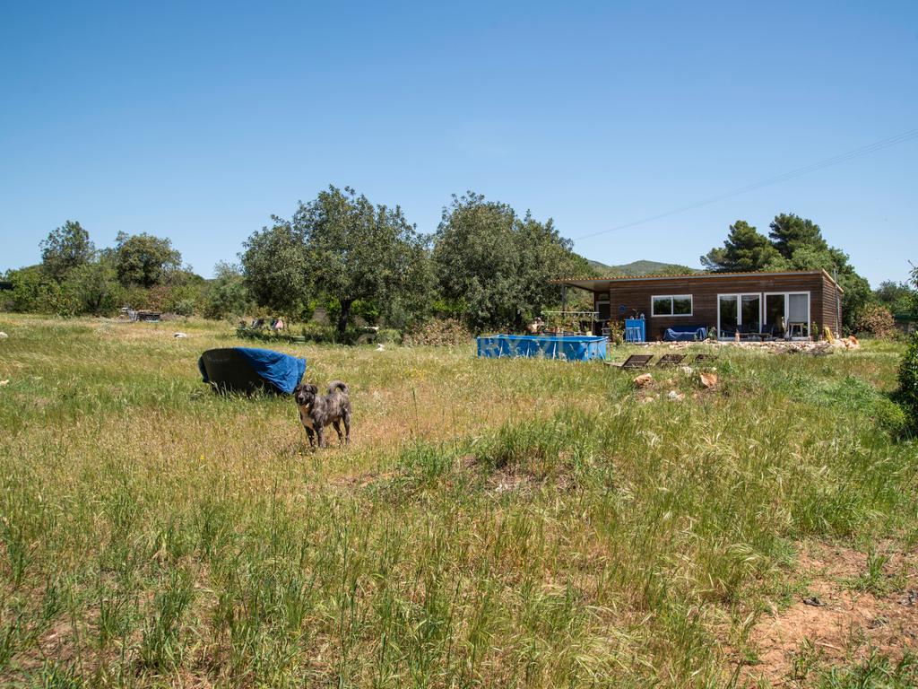 Terreno com Potencial de Construção em Falfosa – Santa Bárbara de Nexe, Faro - Image 11