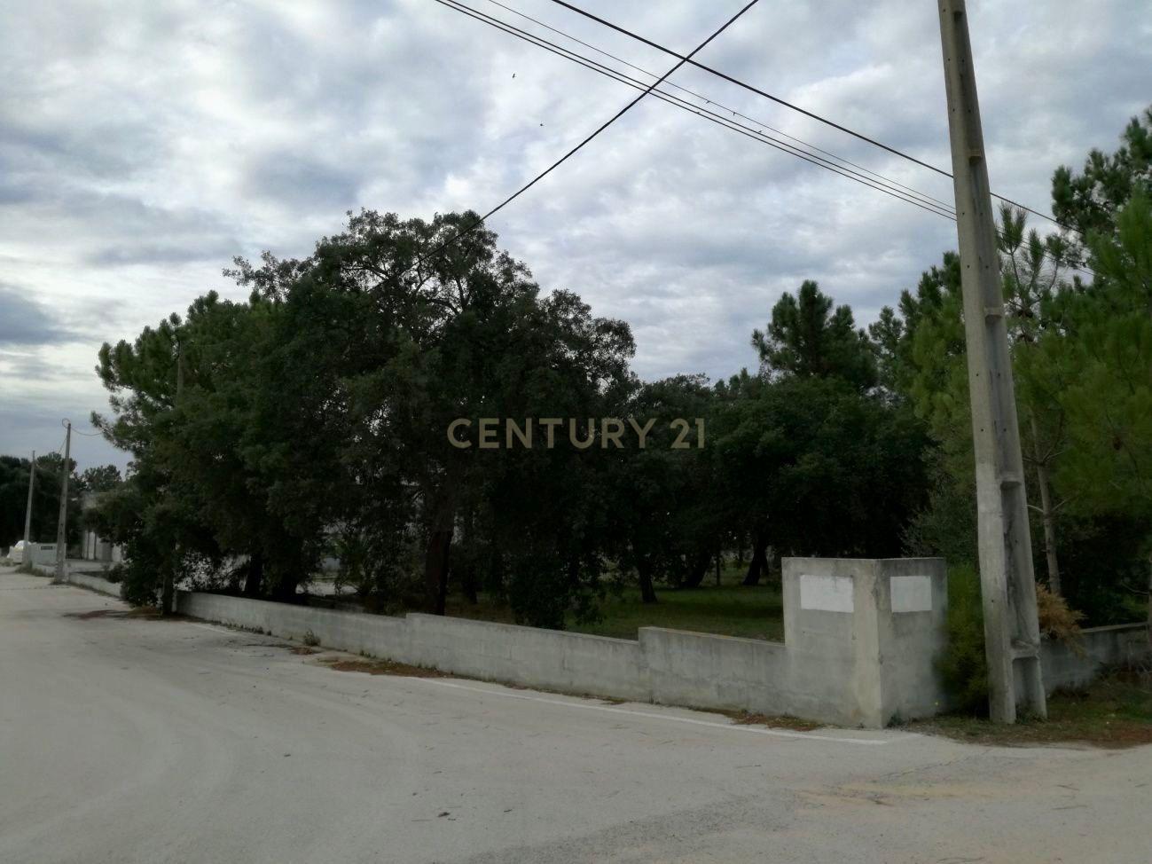 Armazém Industrial com 2.000 m² implantado em terreno de 16.188 m² – Quinta do Anjo - Image 7