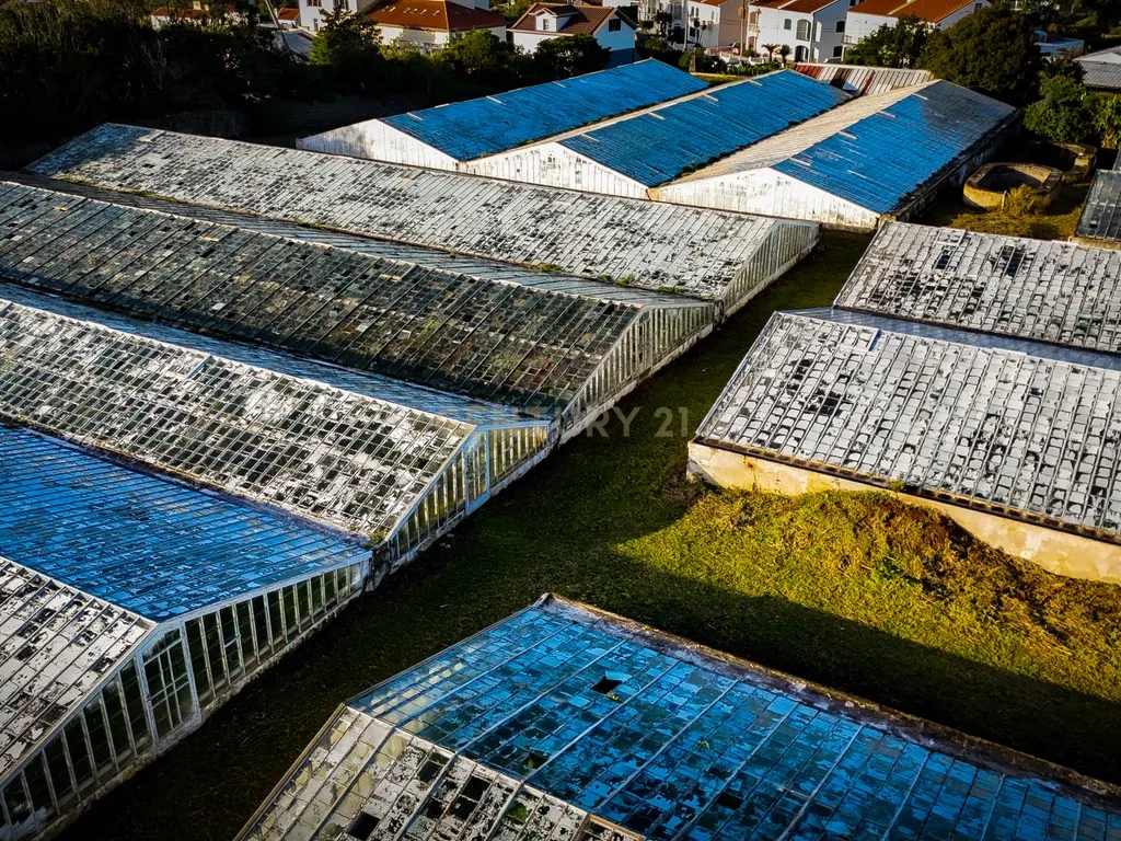 Propriedade Única com Estufas de Ananases e Potencial Urbano — Abelheira de Baixo, São Roque - Açores - Image 23