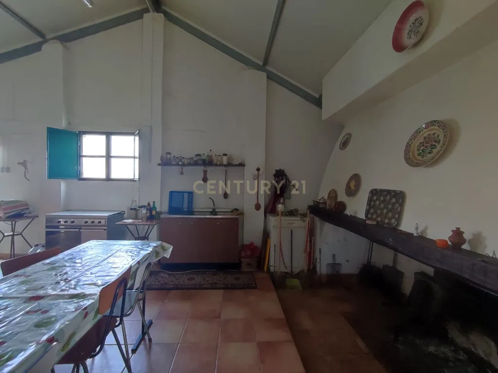 Quinta 54ha, Escalos de Baixo, Castelo Branco - Image 4