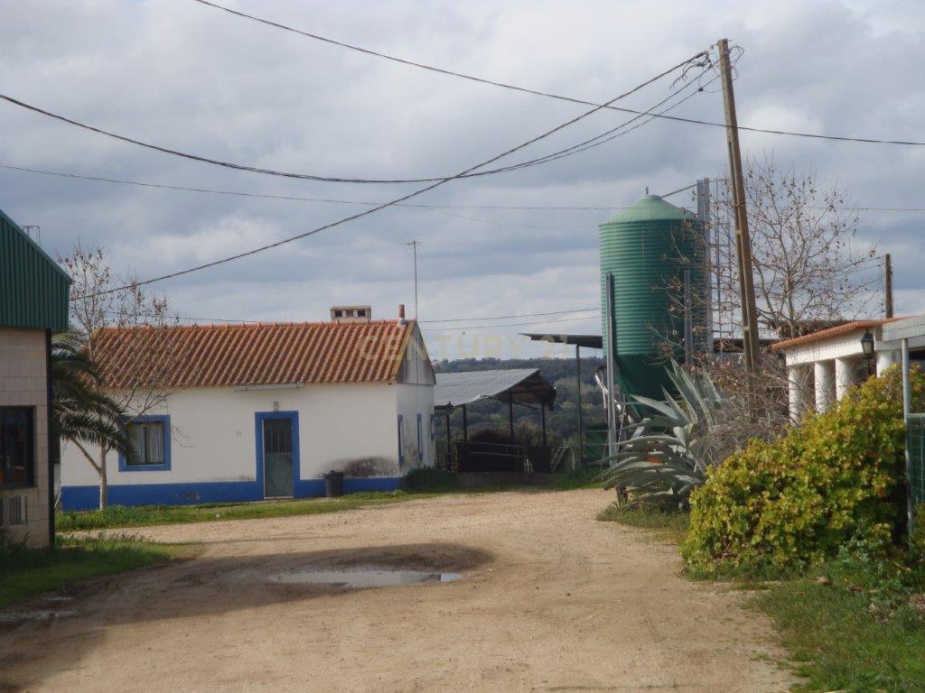 A HERDADE 145 hectares a 20min de Vila Viçosa (vila candidata a património  MUNDIAL da UNESCO), Alentejo - Image 9