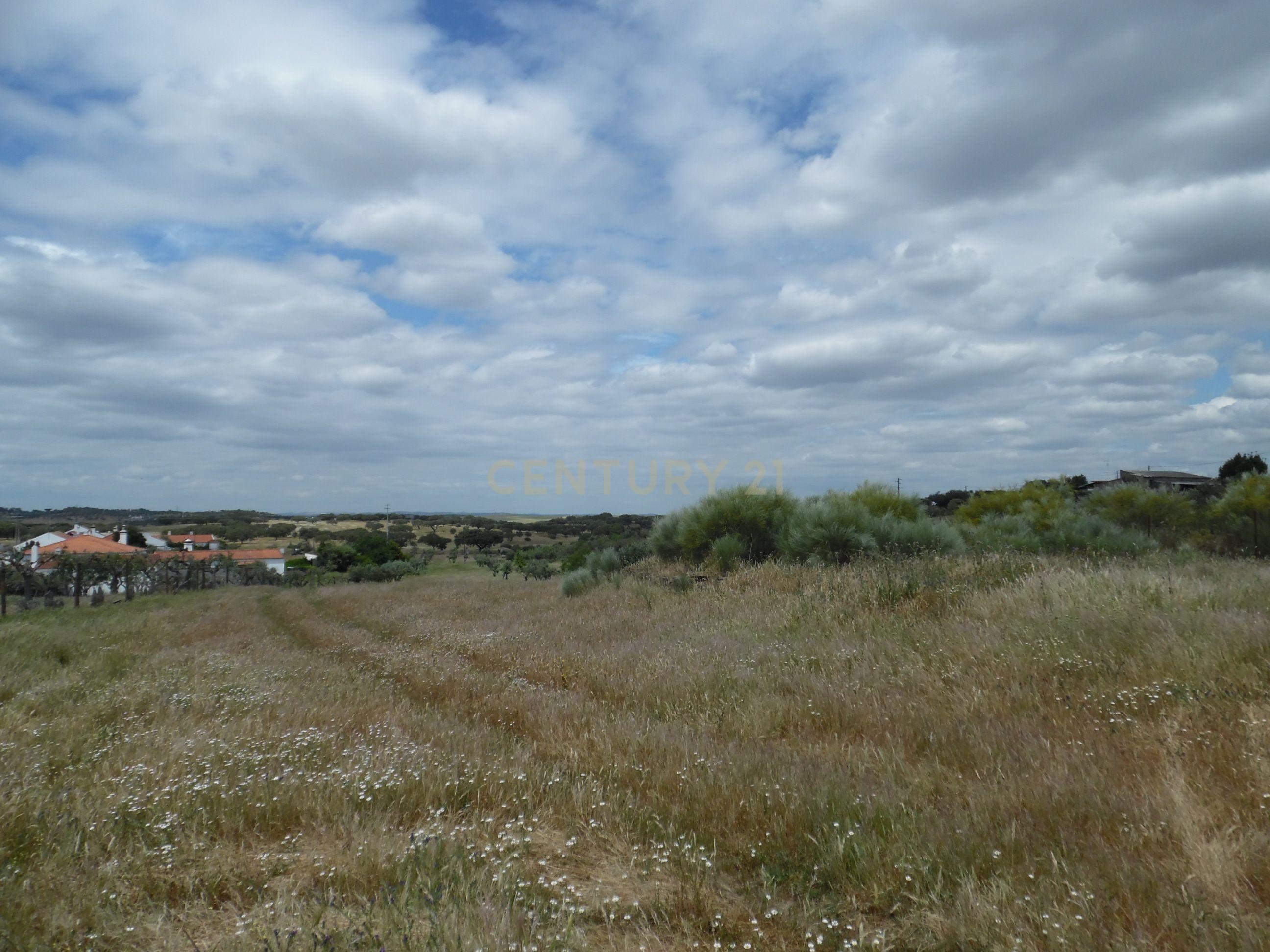 Moradia T3 à venda em Capelins (Santo António), Alandroal — foto 16