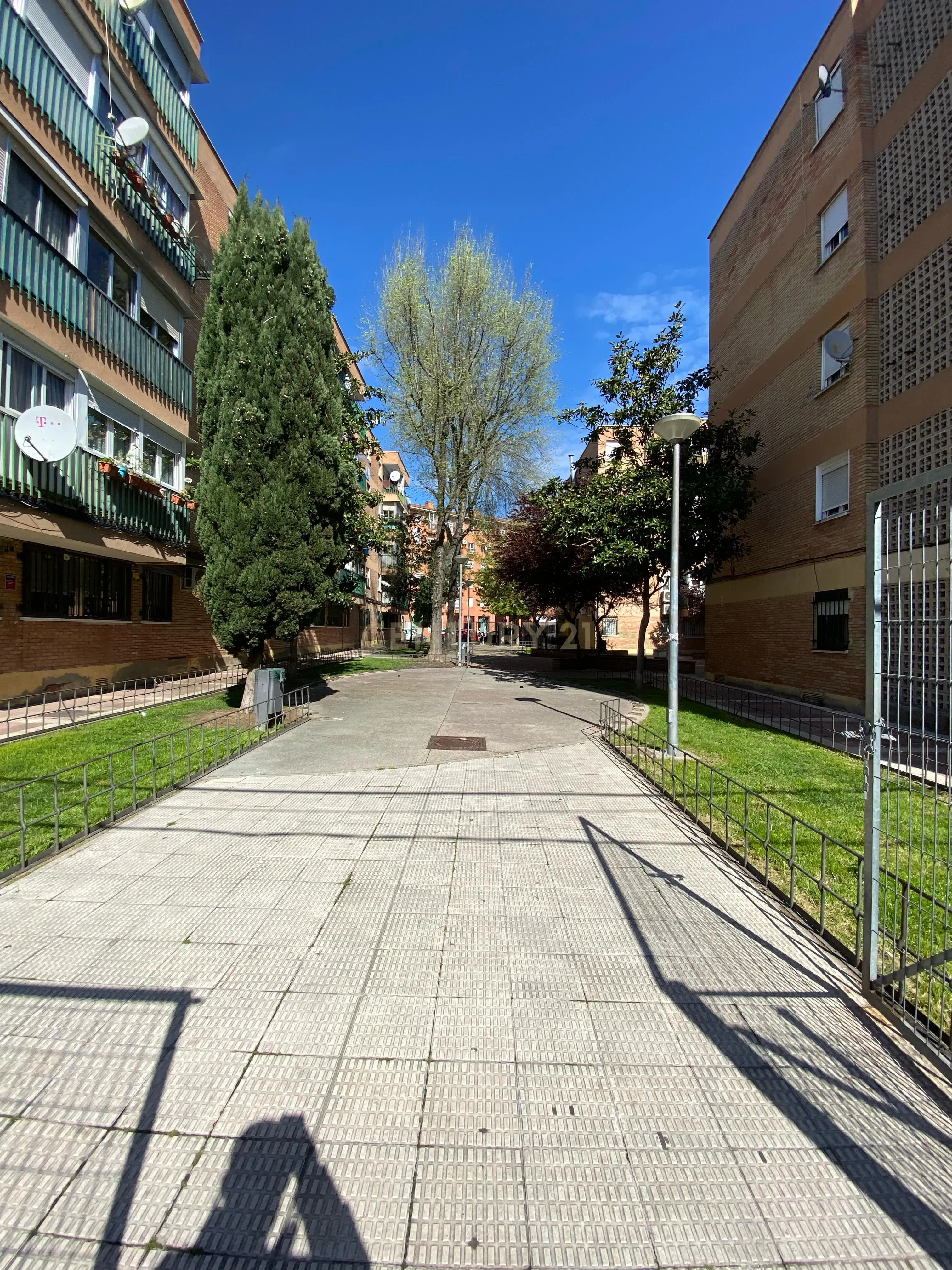- Image 11