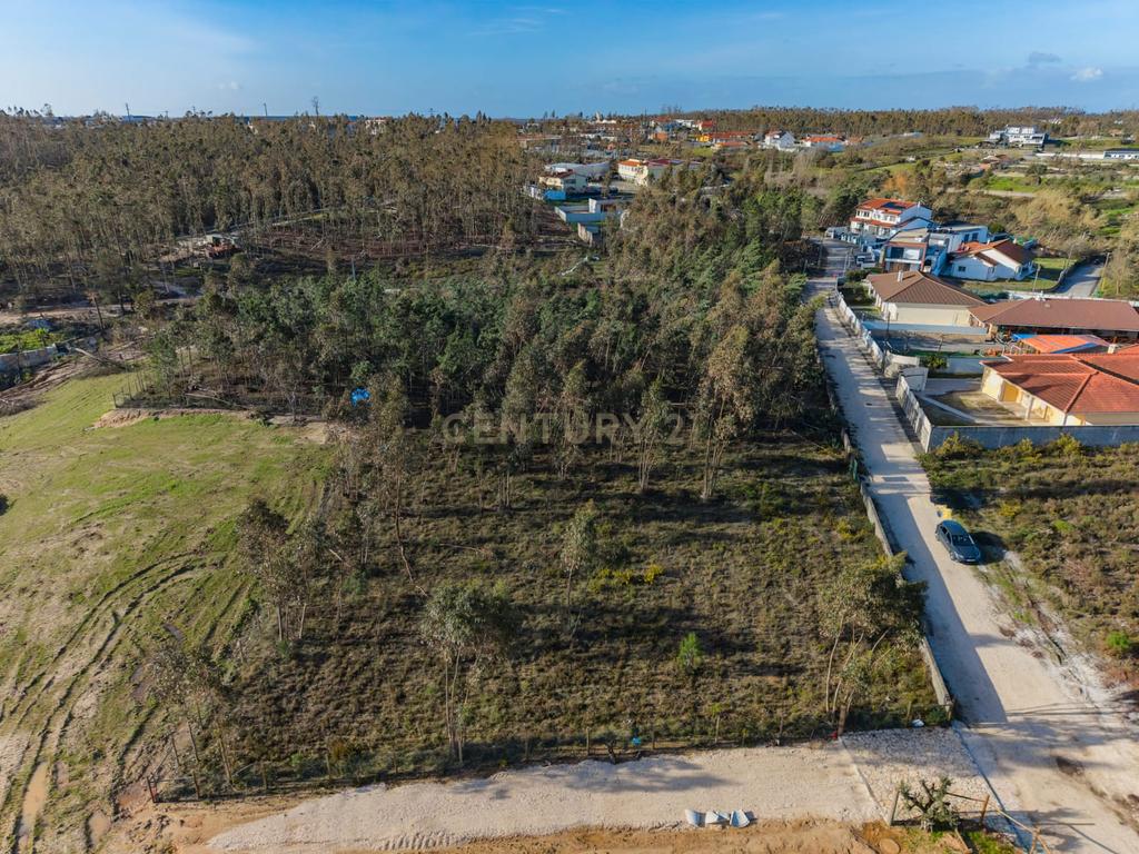Terreno Rústico com Viabilidade de Construção — Barosa, Leiria - Image 11