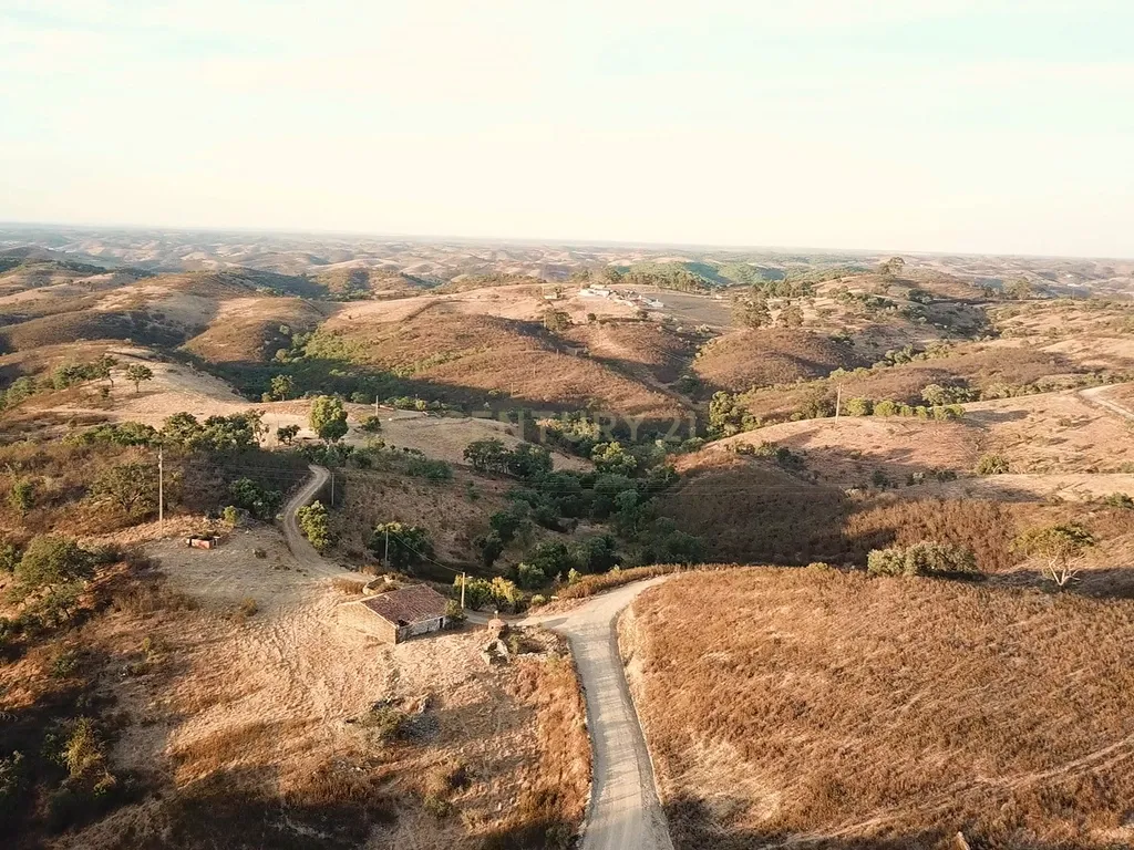 Propriedade com 18 hectares - Um Refúgio de Terra, Tradição e Tranquilidade em Santana da Serra - Image 8