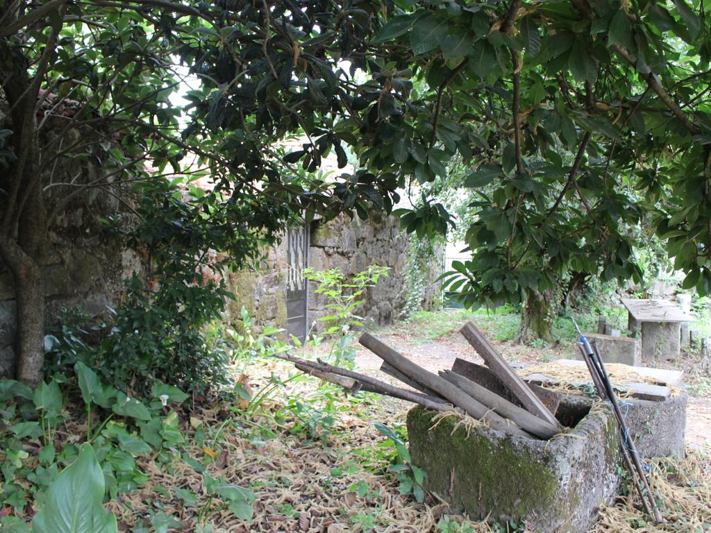 Moradia para restauro - oportunidade de investimento Paços de Ferreira, Figueiró - Image 25