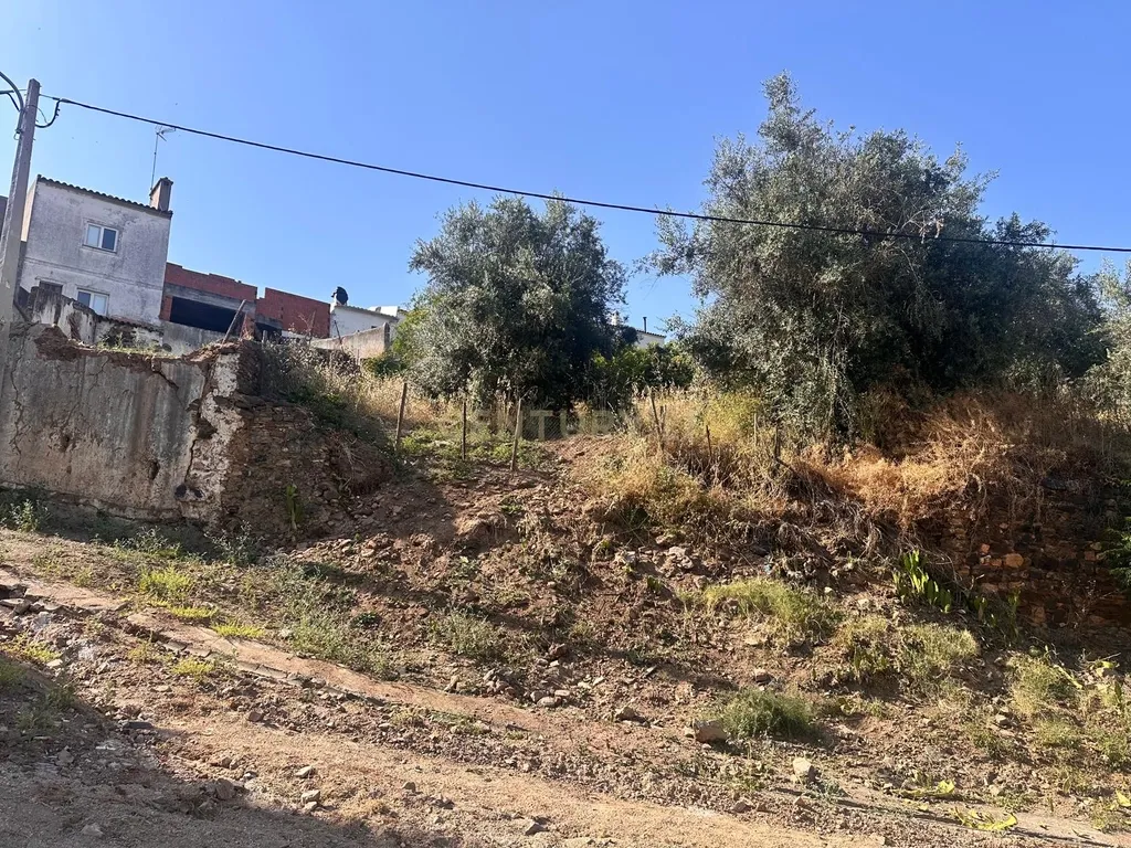Moradia T3 com garagem e cerca de 1.600 m² de terreno | Seda – Alter do Chão - Image 46