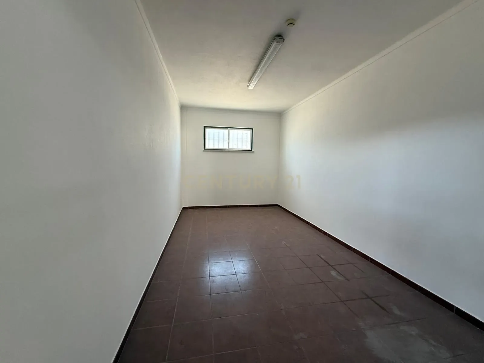 Armazém Industrial para Arrendamento – Riachos, Torres Novas - Image 3