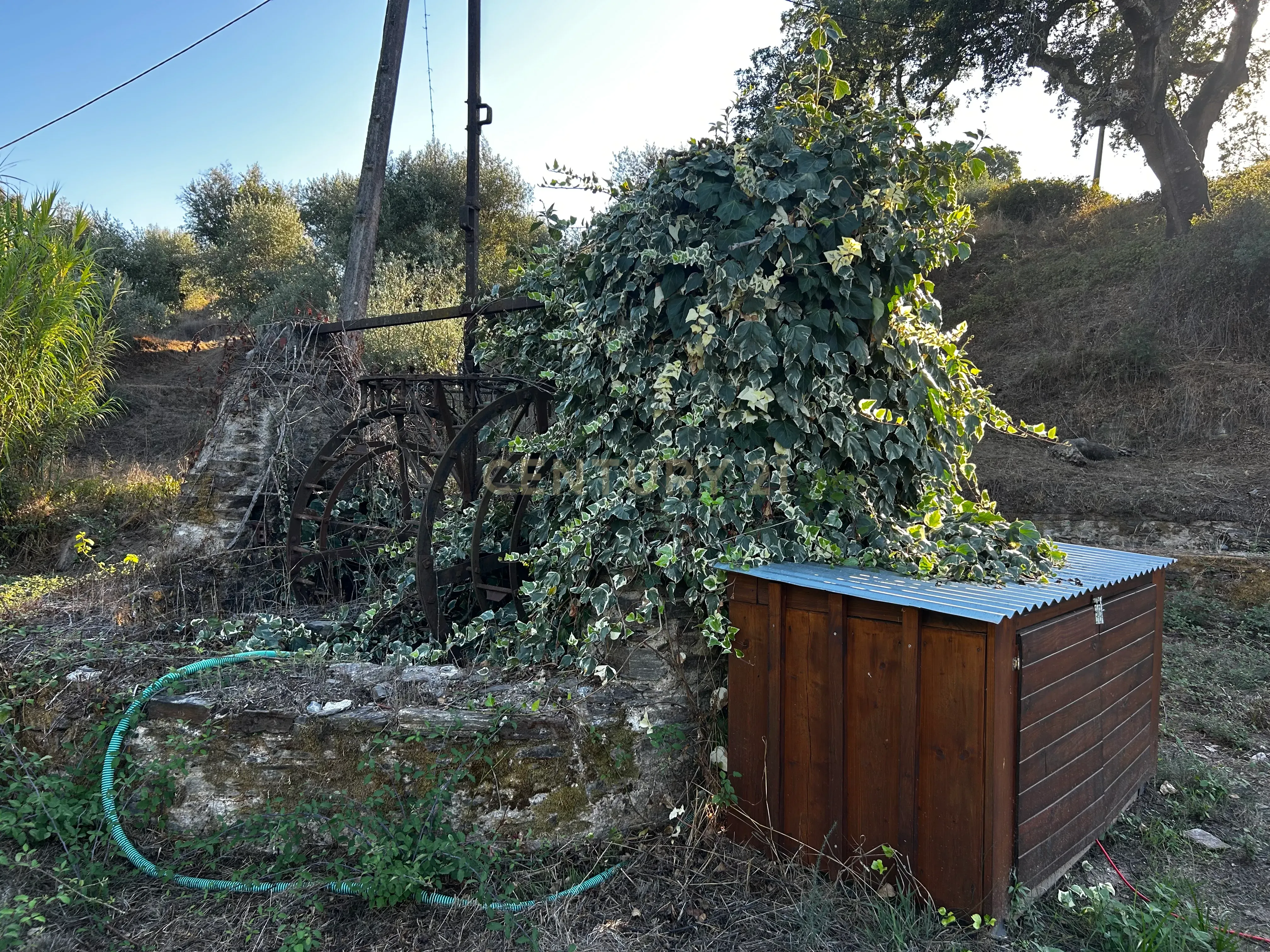 Fotografia 12 de Quinta c/2,5 hectares , casa pré fabricada e ruína para reconstrução.