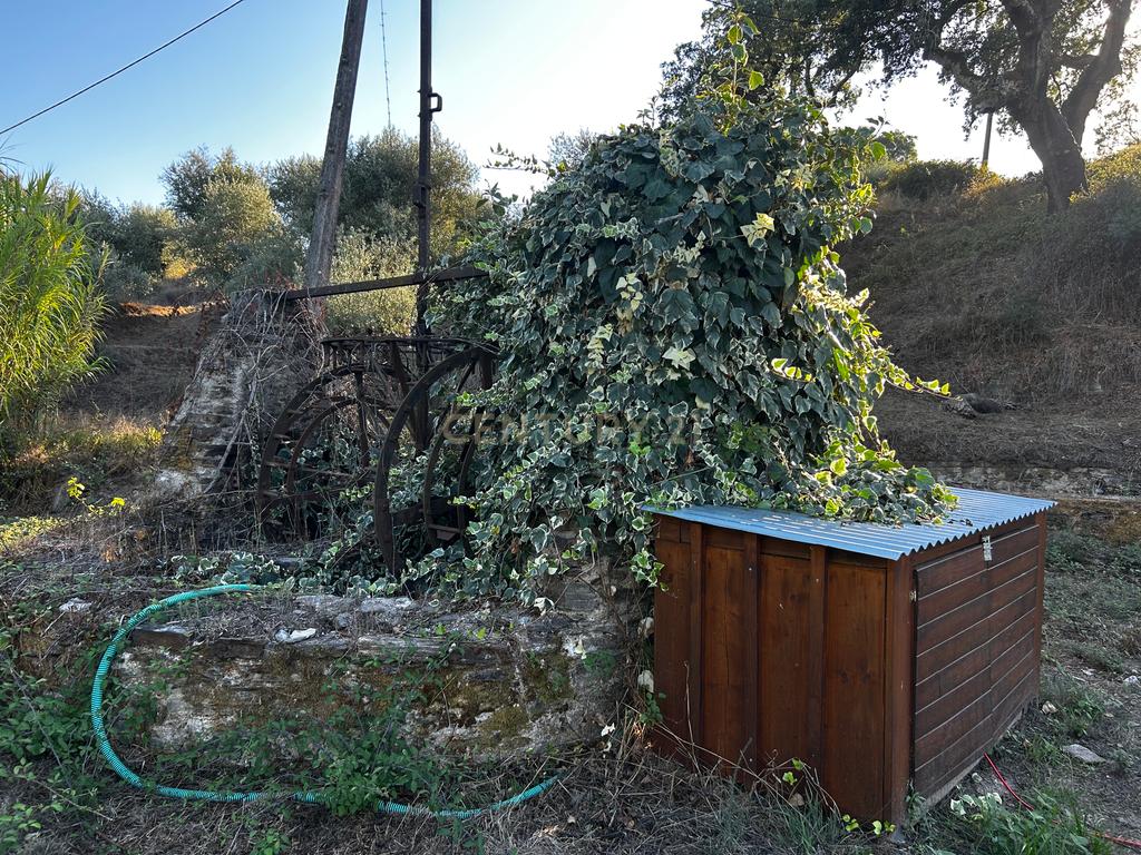 Quinta c/2,5 hectares , casa pré fabricada e ruína para reconstrução. - Image 12
