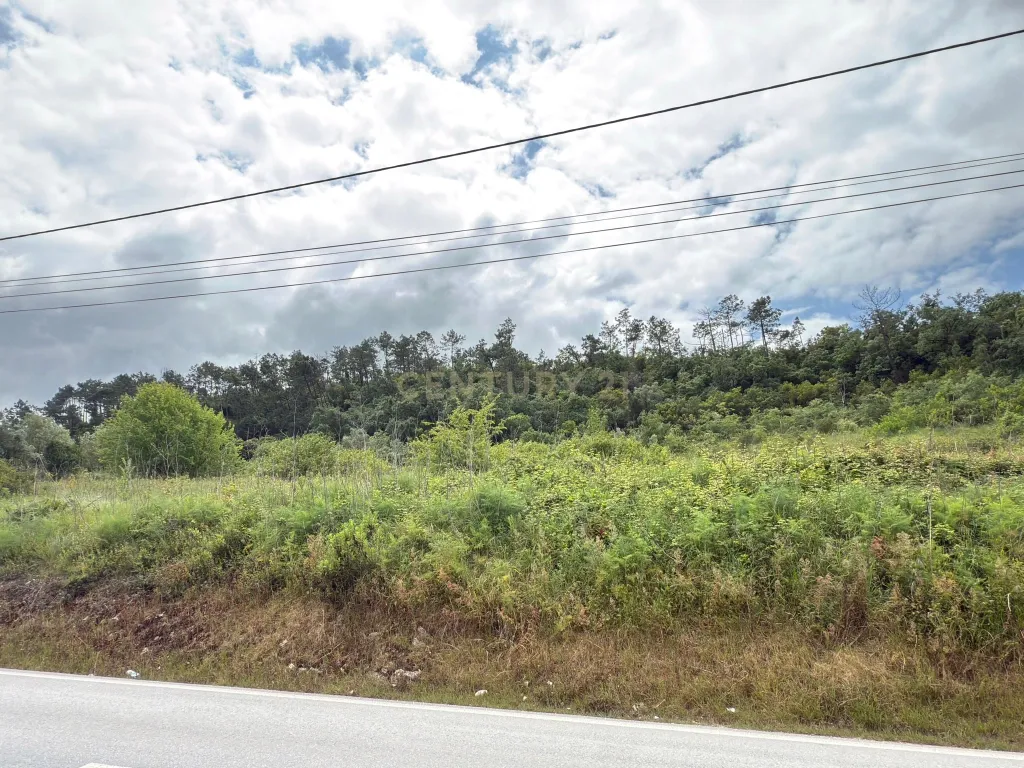Terreno à venda em Alcobaça – Oportunidade única! - Image 14