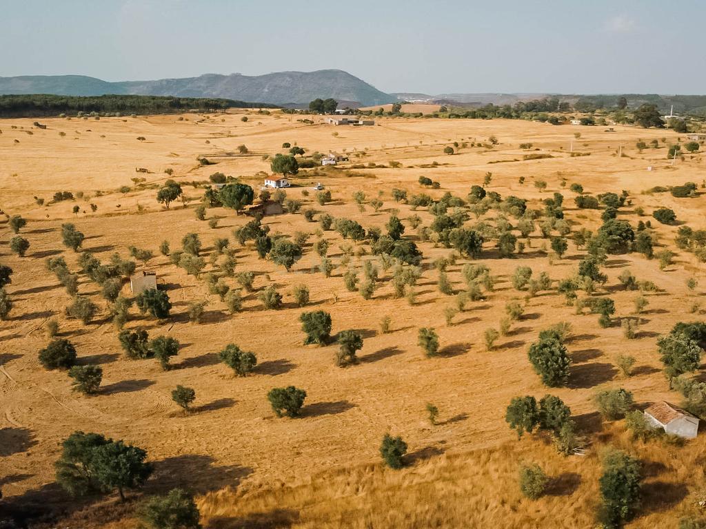 Propriedade rústica com potencial agrícola, habitacional e turístico – 3,12 hectares – Nisa - Image 22