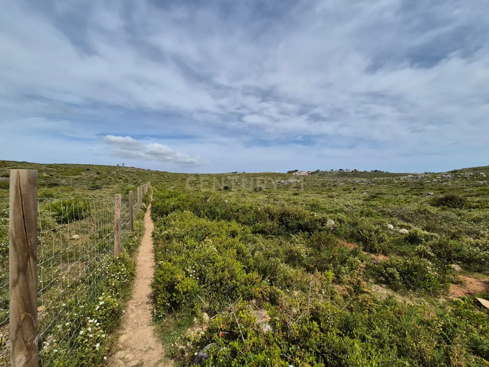 Fotografia 7 de Terreno Rústico com 20.000 m² em Murches, Cascais – Vista Serra de Sintra e Potencial Construção