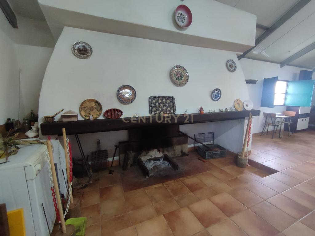 Quinta 54ha, Escalos de Baixo, Castelo Branco - Image 45