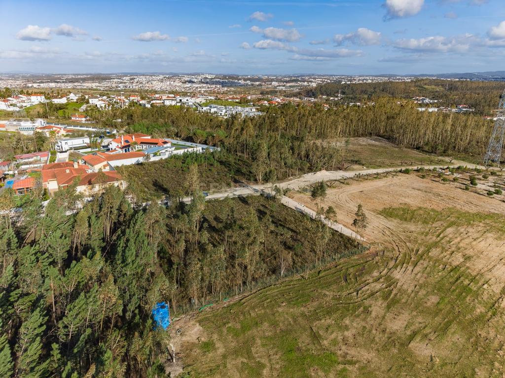 Terreno Rústico com Viabilidade de Construção — Barosa, Leiria - Image 4