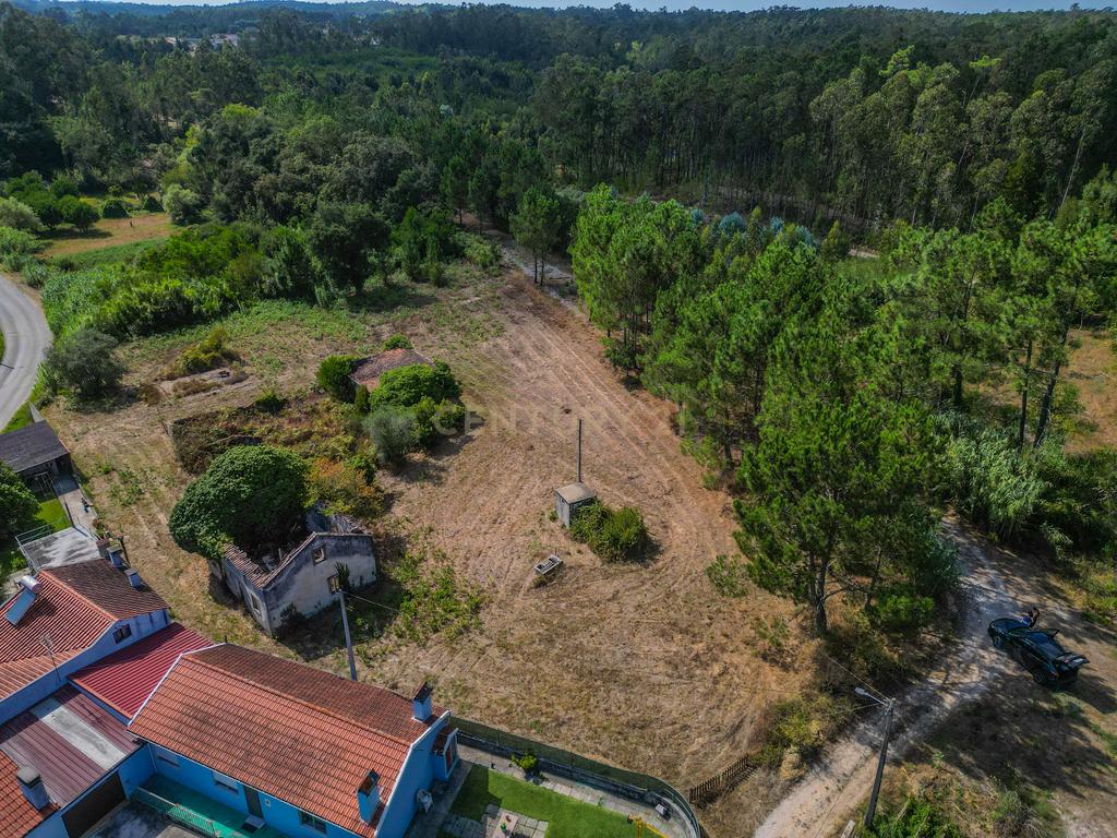 Propriedade com duas casas para reabilitar, terreno e poço na Costeira – Figueira da Foz - Image 2